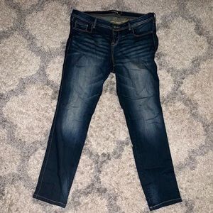 Torrid Skinny Jean